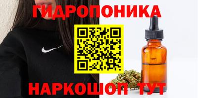 PSILOCYBIN Гатчина