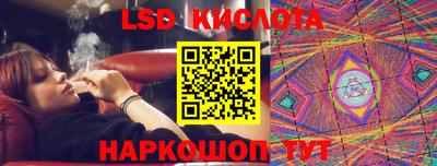 PSILOCYBIN Гатчина