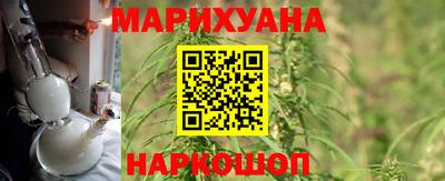PSILOCYBIN Гатчина