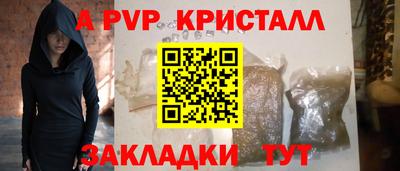 PSILOCYBIN Гатчина