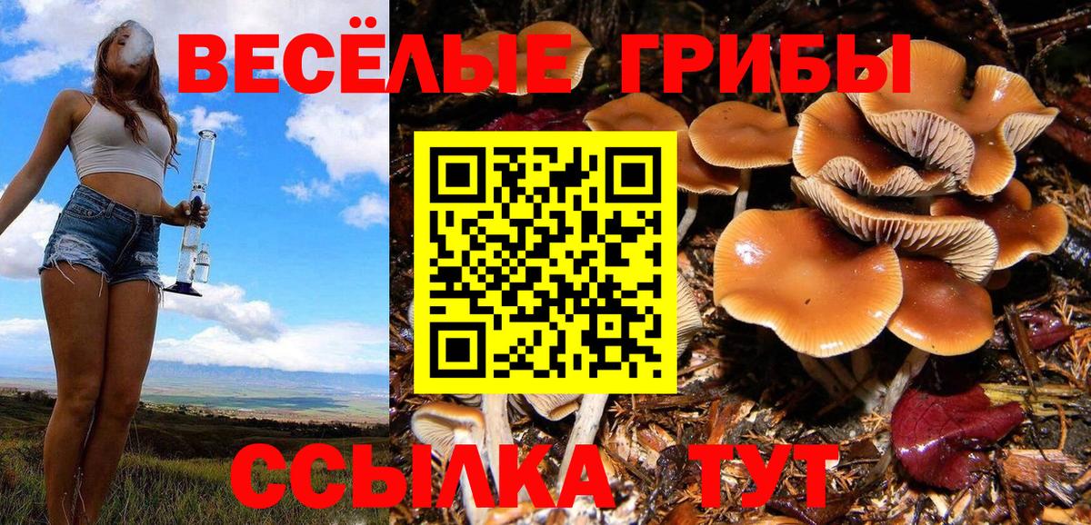 Галлюциногенные грибы прущие грибы  Вход с VPN  Рязань 